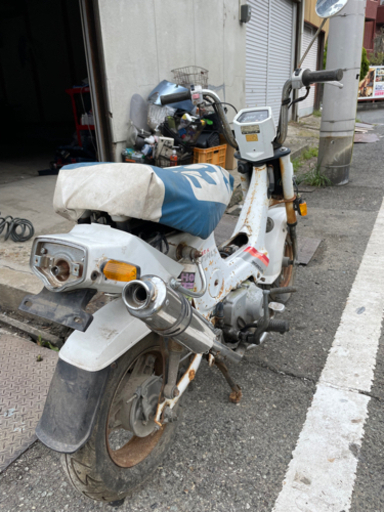シャリー 12V ジャンク or レストアベース | manutencaoemfoco.com.br