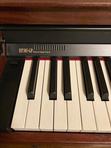 ROLAND ローランド 電子ピアノ HP305-GP | alfasaac.com