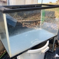 ガラス水槽　60㎝　屋外にて使用