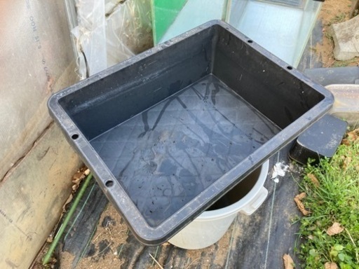 プラ舟40 トロ舟40 メダカ飼育多数あり なとりめだか 名取の家具の中古あげます 譲ります ジモティーで不用品の処分