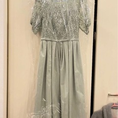 チュール刺繍フレアスリーブドレス/Aimer