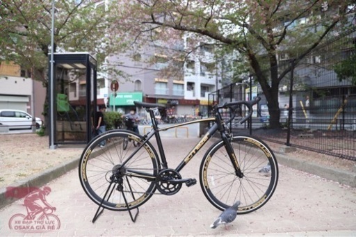 カッコいいスポーツ自転車です‍♂️