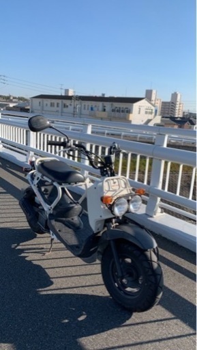 AF58 ズーマー