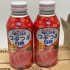 【1本50円】計40本 不二家ネクター つぶつぶ白桃 380ｇ