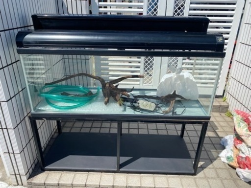 決まりました水槽1200セット