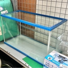 青いフチの水槽