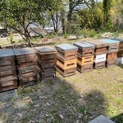 【ネット決済】西洋蜜蜂　巣箱　3箱1セット　巣枠のおまけつき
