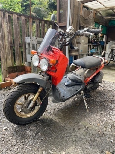 ホンダ ZOOMER