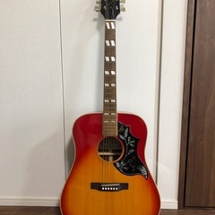 [Pro Martin] アコースティックギター CW-250