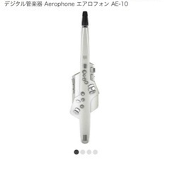 【ほぼ新品】ローランド エアロフォン  AE-10