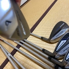 テーラーメイド　スピードブレード