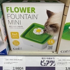 猫　自動循環水皿　美品