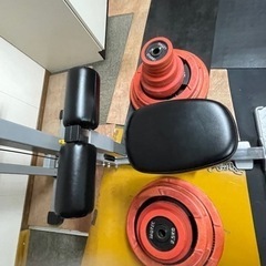 ワイルドフィット Impulse ラットプル 