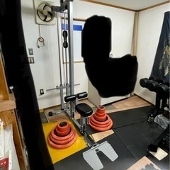 ワイルドフィット Impulse ラットプル 