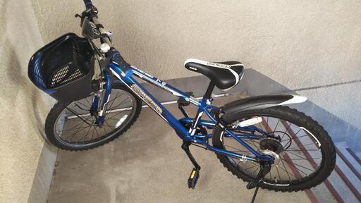 自転車  キッズ