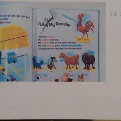 ディズニー英語　一式