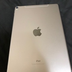 本日限定iPad Pro 10.5インチSIMフリー256G付属...