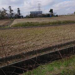 畑を譲ります【太田川の河川整備の計画有り】
