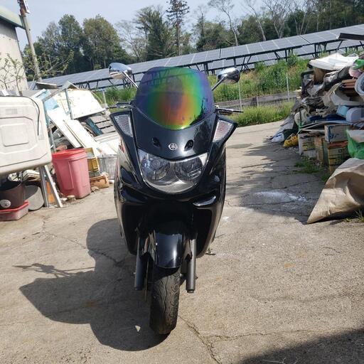 マジェスティC250限定車