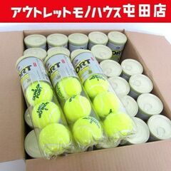 新品 硬式用テニスボール FORT 4個入り30缶 ダンロップ ...