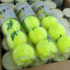 新品 硬式用テニスボール FORT 4個入り30缶 ダンロップ フォート 120個 DUNLOP 札幌市北区屯田