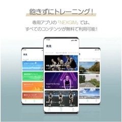 nexgim フィットネスバイク 負荷80段階