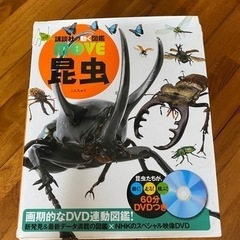昆虫図鑑（DVD付