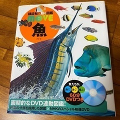 魚図鑑（DVD付き