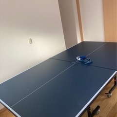 卓球台 国際規格サイズ