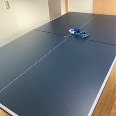 卓球台 国際規格サイズ