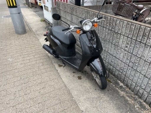 ホンダ トゥデイ 【公式通販】 ホンダ トゥデイ 【公式通販】