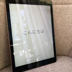 iPad Air 2 64GB  SIMフリー [スペースグレイ]①