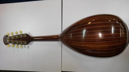 大野繁 1963 マンドリン 中古