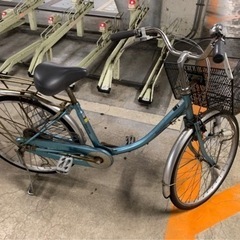 自転車　決まりました。