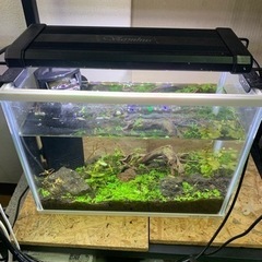 沖縄県の中古溶岩石が無料 格安で買える ジモティー
