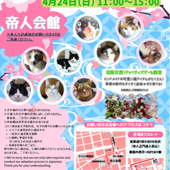 第１８回保護猫譲渡会in山口県　岩国
