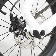 STRiDA「ストライダ」 MultiCam 2021年モデル ミニベロ 折り畳み自転車 3722041200009