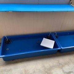 22引き取り決定！ライフ商社.FRP水槽180リットル