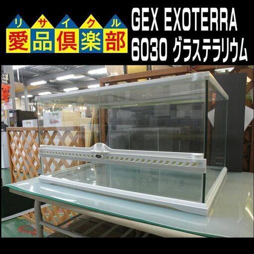 GEX EXOTERRA 爬虫類飼育 グラステラリウム 【愛品倶楽部 柏店】