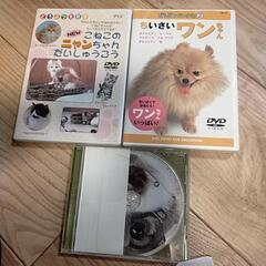 動物　DVD　3枚セット