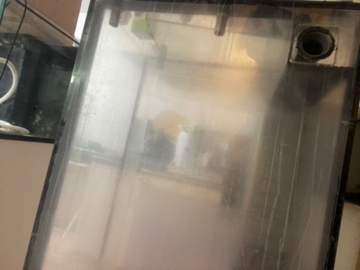 巨大水槽