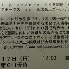 4/17（日）鴨池プロ野球チケット2枚