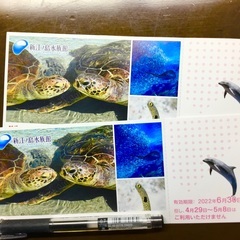 【 えのすい 】新江ノ島水族館 招待券２枚セットです☆彡【 江ノ電 】