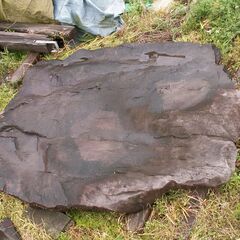 ●特価　値段交渉可　大きな沓脱石　靴脱ぎ石　庭石　小豆島産　￥3万　引き取り限定