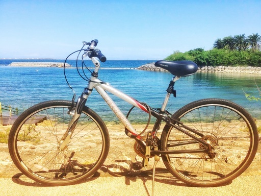 Trek 7300 自転車を売ります。
