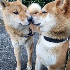 友達募集です(*ˊ˘ˋ*) ぼっちに友達ください。