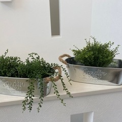新品ガーデンプランターSET IKEA 観葉植物　フェイクグリーン