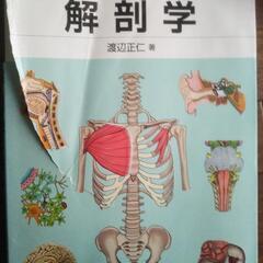 解剖学1000円で売ります。