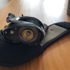 ダイワ　スティーズatw 1016xh