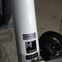 Giant Bicycle [SNAP] 